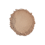 Sunforgettable Total Protection Brush-On Shield SPF50