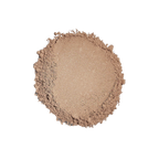 Sunforgettable Total Protection Brush-On Shield SPF50